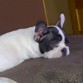 uffffffffffff esto si q me gusta...dormir